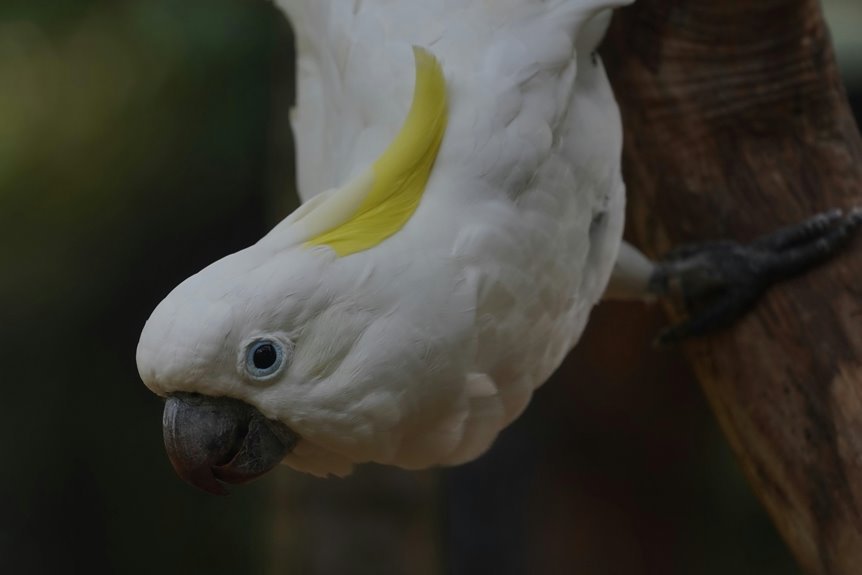 enterprise intelligence continuity brief