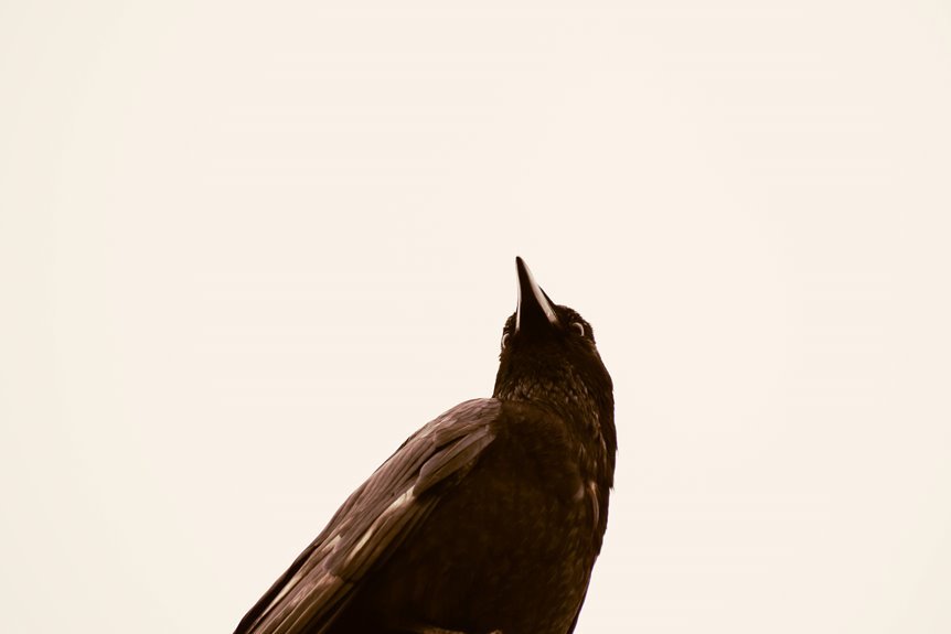 organisational intelligence impact summary